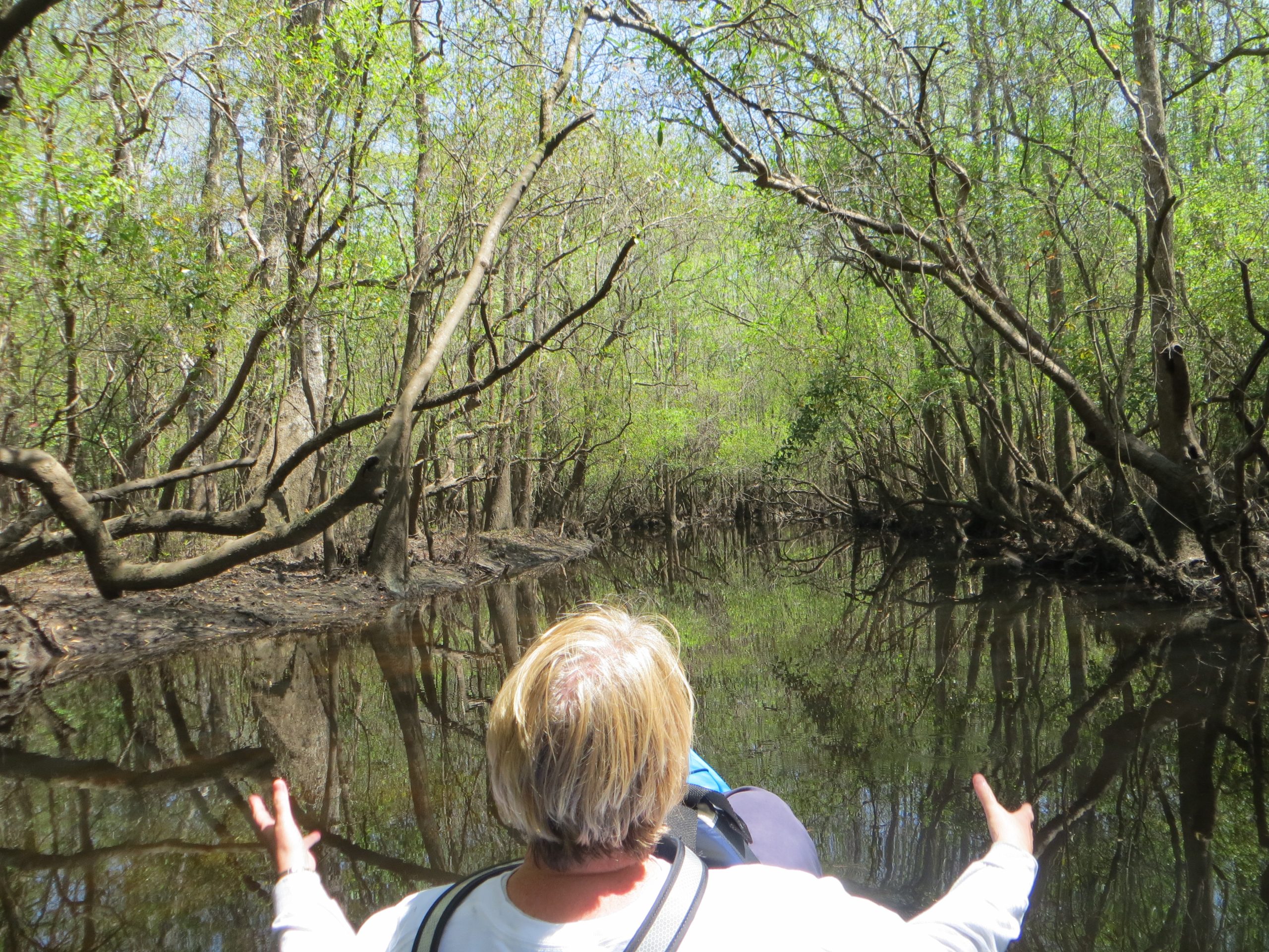 Escatawpa Blueway with paddler, Mississippi paddling