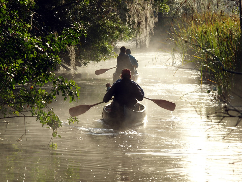 Paddlers traveling down Big Cypress river in the morning with steam rising from the river
