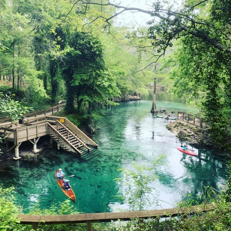 Florida - Suwannee River Wilderness Trail - Paddle the Gulf